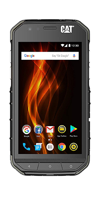 CAT s31